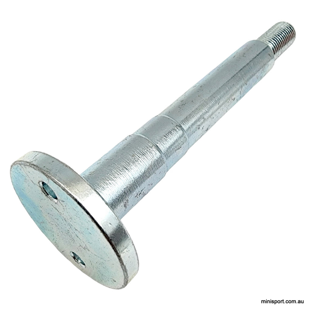 Motor Support Pin MINI & MOKE REAR SUBFRAME SUPPORT PIN- SOLD SINGLE – Minisport