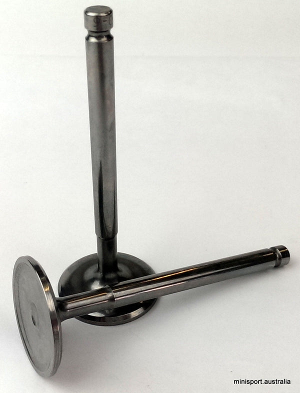 Valves (all engines) – Minisport