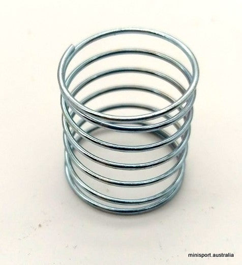 MINI PCV VALVE SPRING (INSIDE PCV) – Minisport