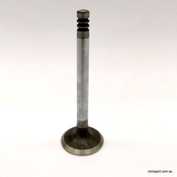 Valves (all engines) – Minisport
